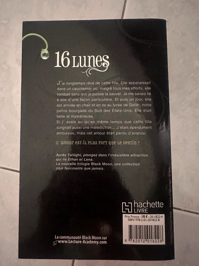 Roman 16 lunes - photo numéro 3