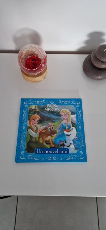 Livre enfant La reine des neiges disney