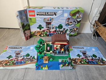 LEGO 21161 minecraft