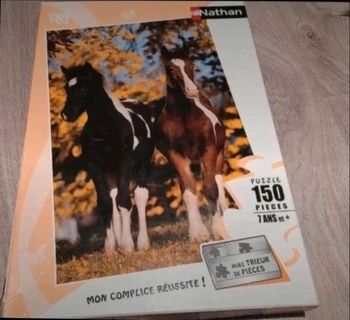 Puzzle cheval 
