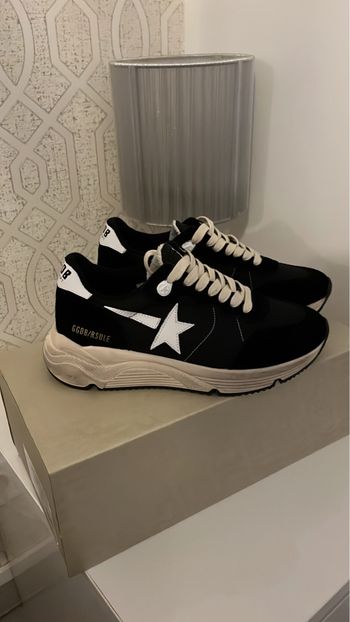 Golden goose running