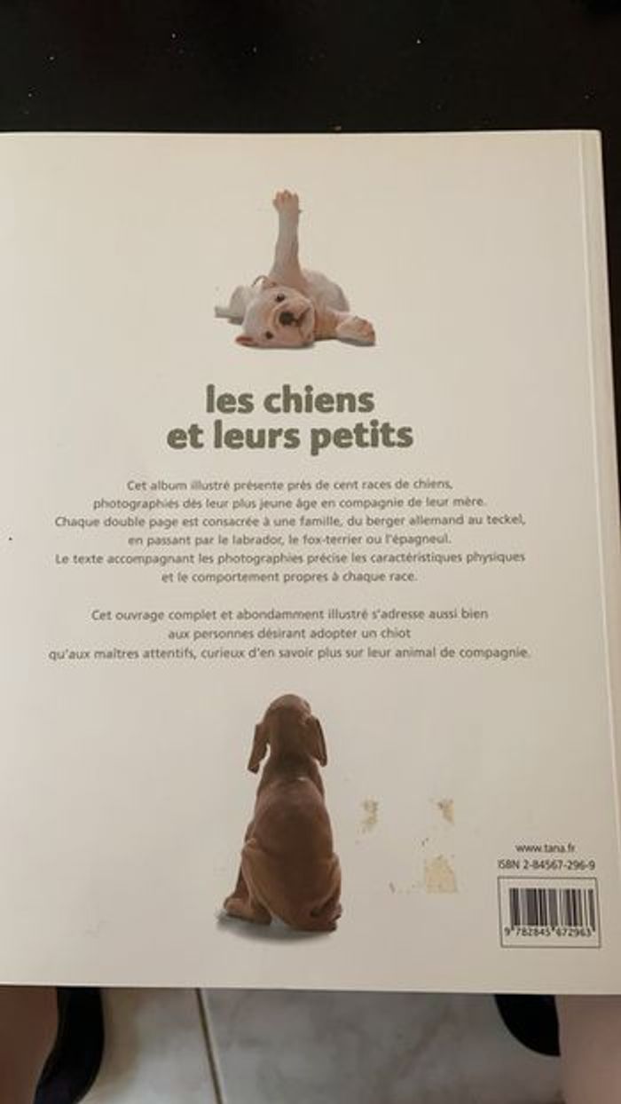 Les chiens et leurs petits - photo numéro 2