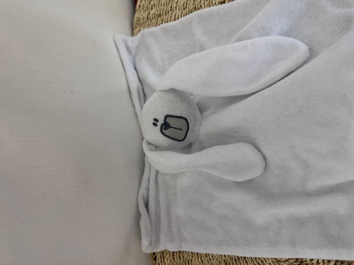 Doudou plat lapin HEMA blanc éponge 32 cm - photo numéro 2