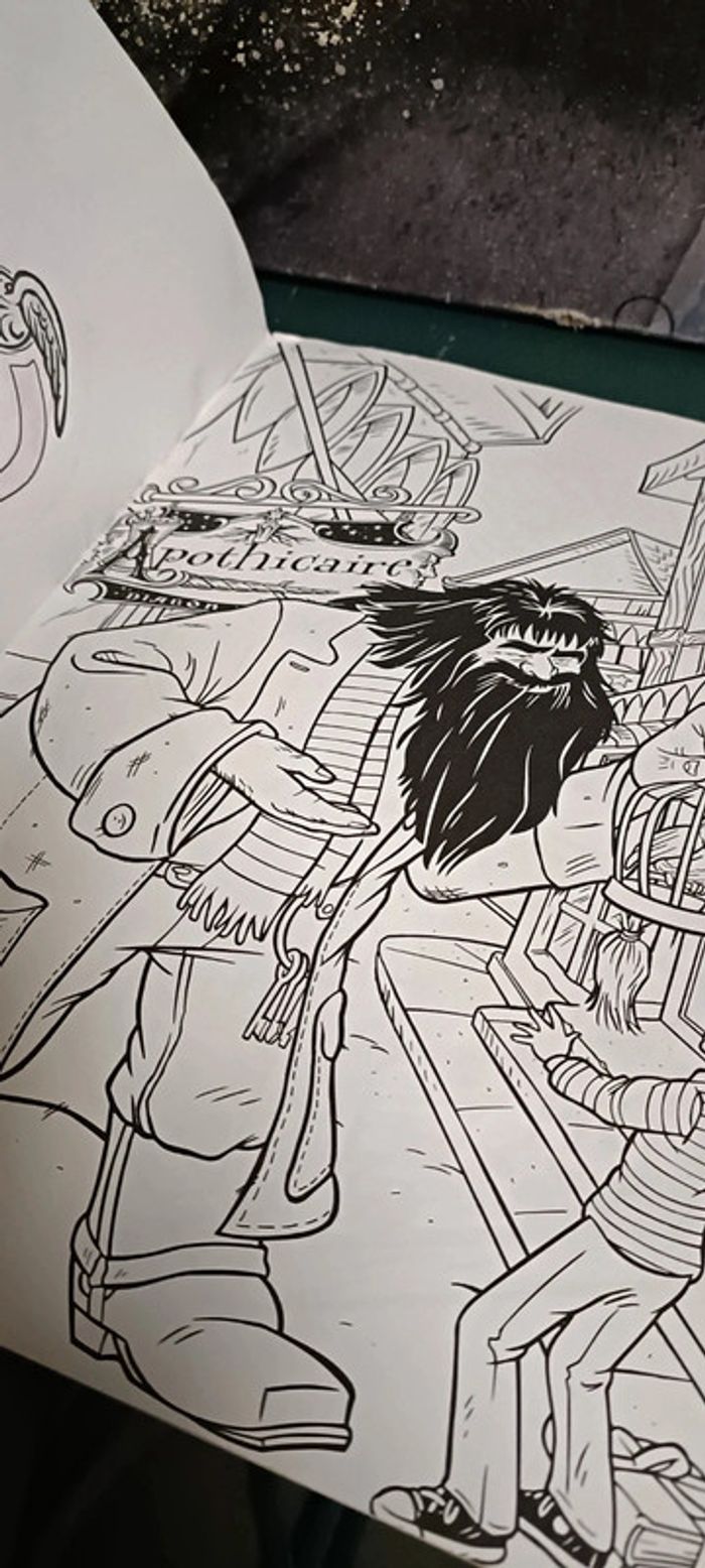 Livre coloriage Harry Potter - photo numéro 6