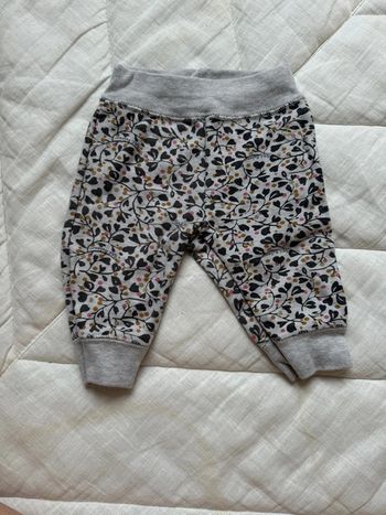 Jogging Petit Bateau taille 3 mois