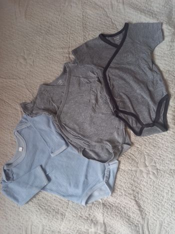 Lot de 3 bodies 12 mois