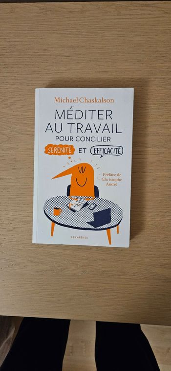 Méditer au travail Michael chaskalson les arènes