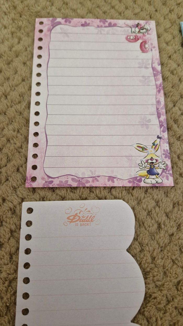 Lots de 6 feuilles diddl is back carnet - photo numéro 3