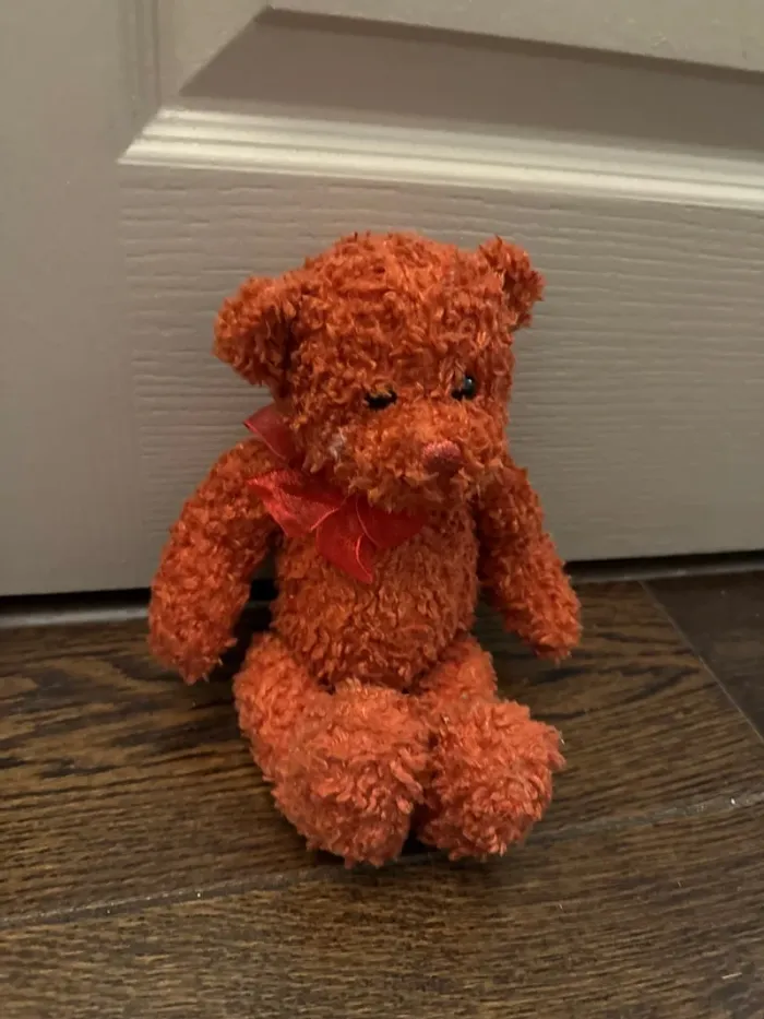 Nounours peluche - photo numéro 2