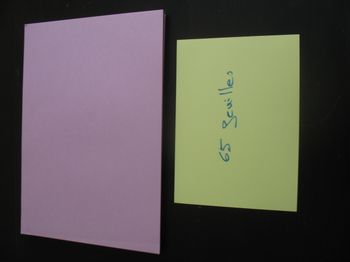 LOT DE 65 FEUILLES A4 - LILAS - 120 GR - n°35