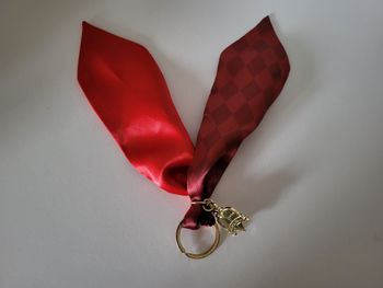 Twisted Wonderland Goodies Heartslabyul