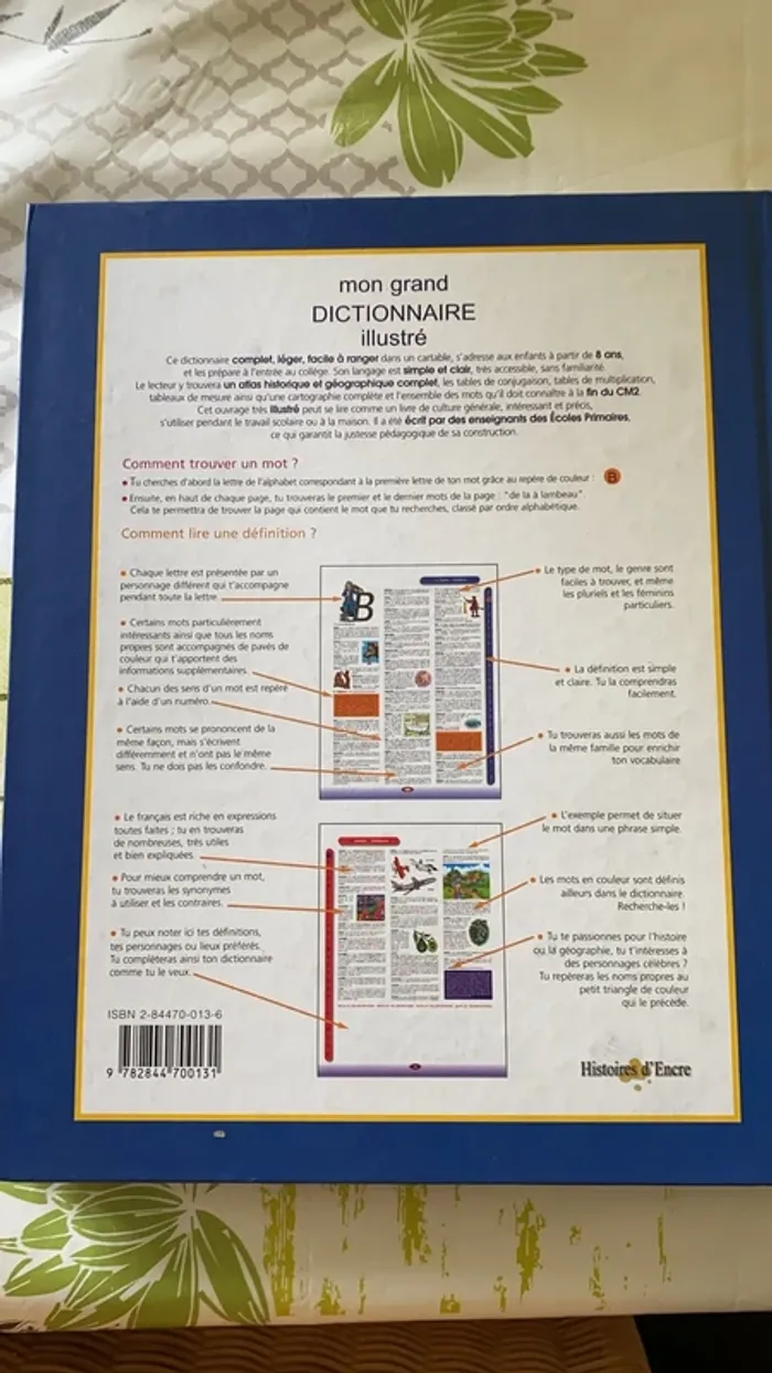 Grand dictionnaire pour enfant - photo numéro 2