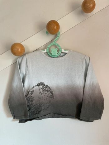 Pull 18mois