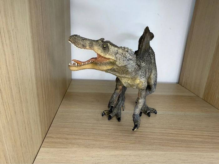 Spinosaurus papo - photo numéro 5