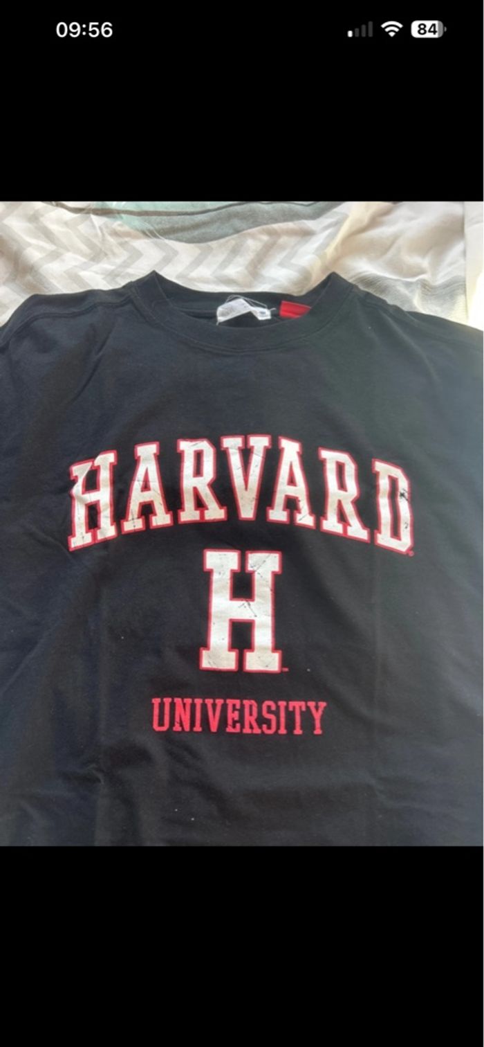 T shirt Zara Harvard