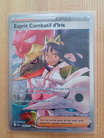 esprit combatif d'iris 292/217