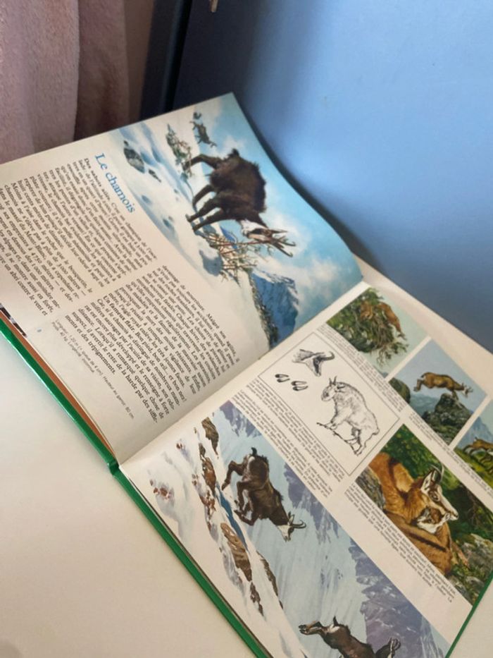 La vie secrete des betes dans les montagne - photo numéro 4