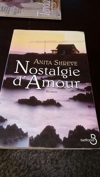 Roman nostalgie d amour