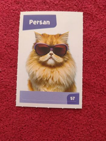 Carte nos amies les bêtes