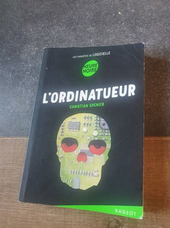 L'ordinateur- C.Grenier