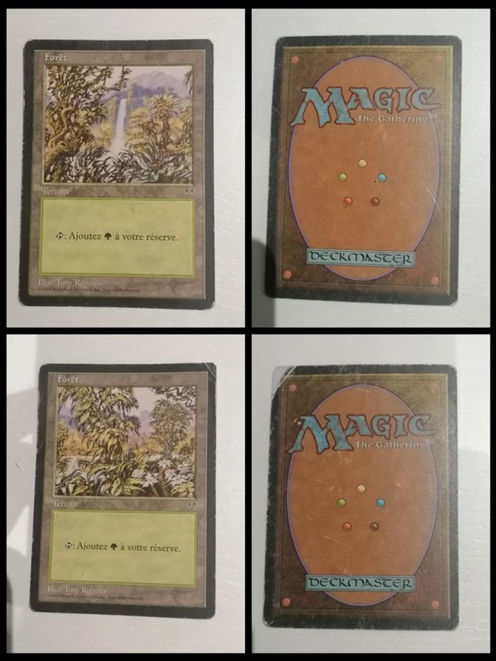 Lot de 10 cartes Magic The Gathering Carnage - photo numéro 6