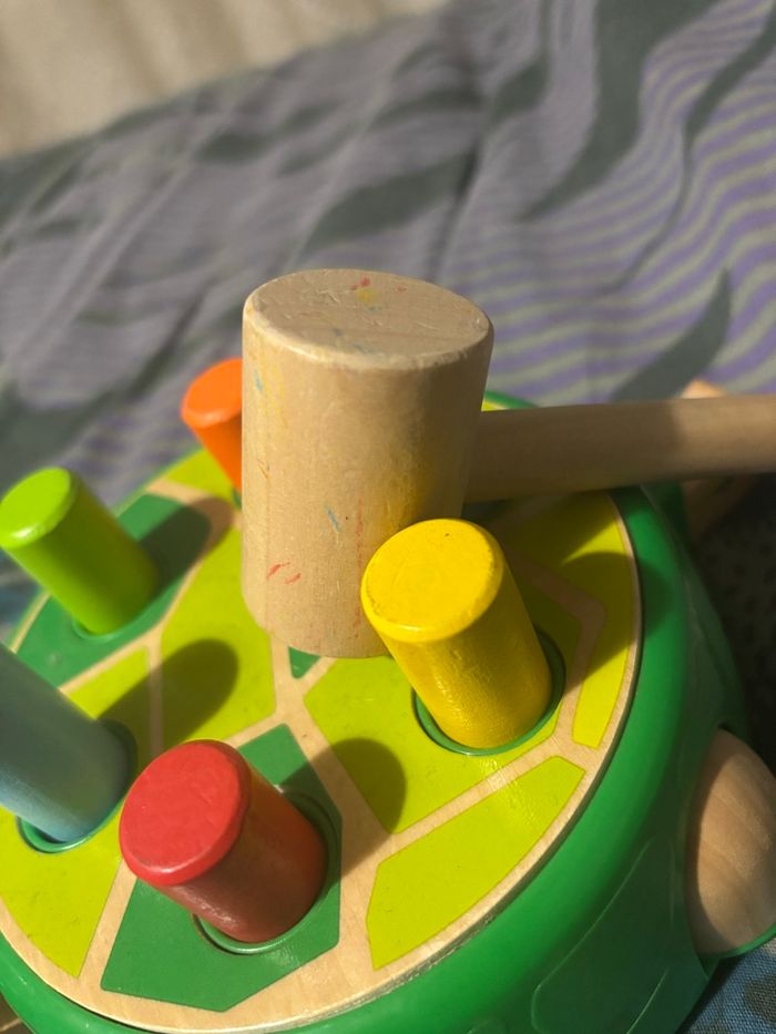 Tortue a taper - photo numéro 2