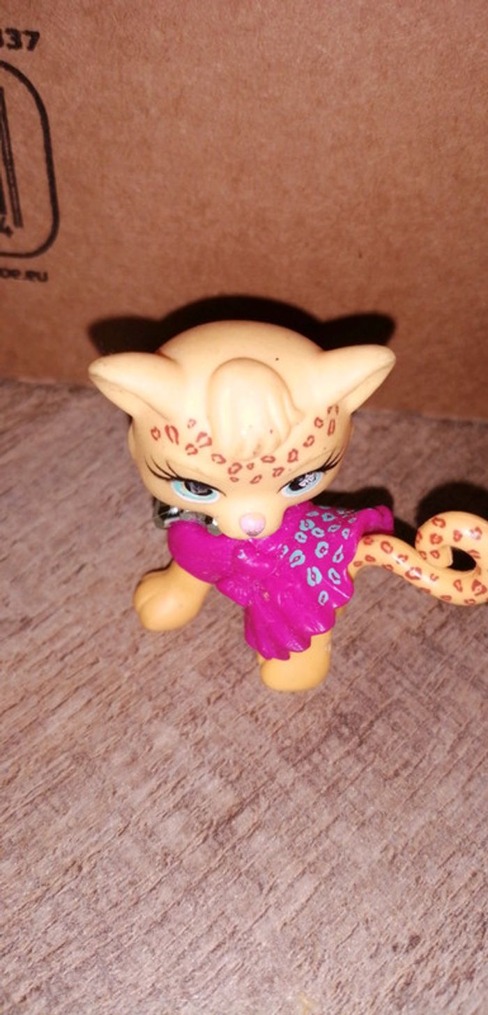 Chat Polly pocket