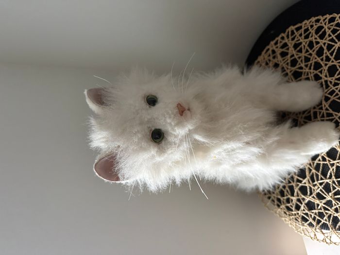 vintage Fur Real FurReal Friends - photo numéro 2