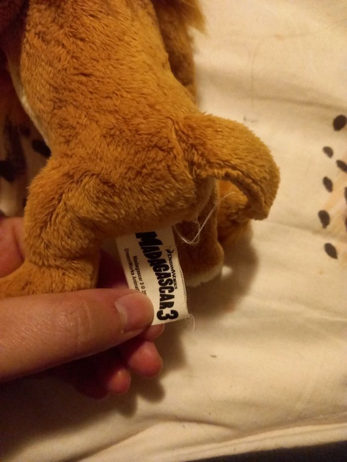 Lion de Madagascar 3 - photo numéro 4