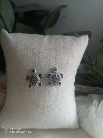 Boucles d'oreilles tortues argentées