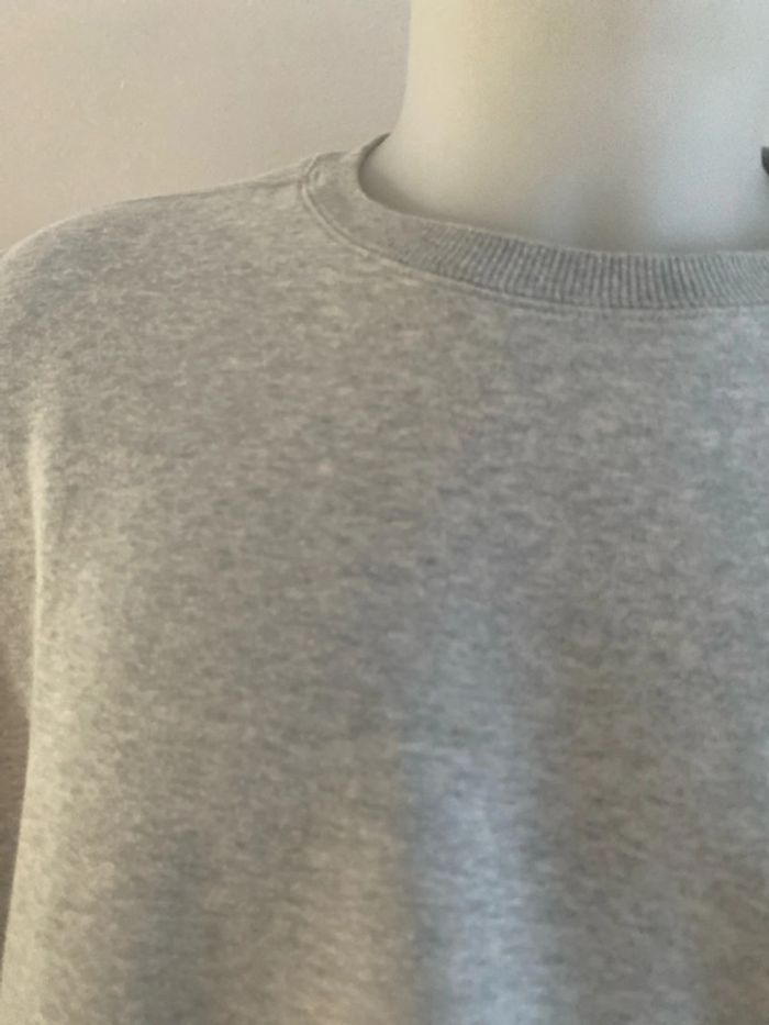 Sweat en coton XXL - photo numéro 2