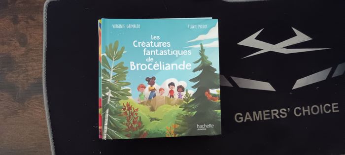 5 livres pour enfant - photo numéro 4