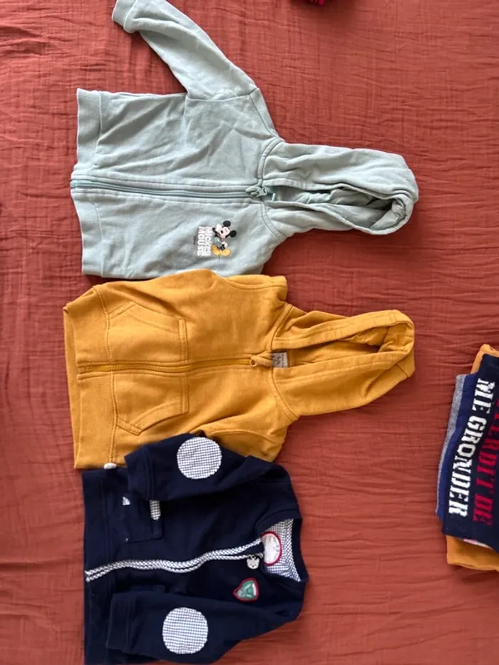 Lot de 9 pull/gilet 12 mois - photo numéro 2