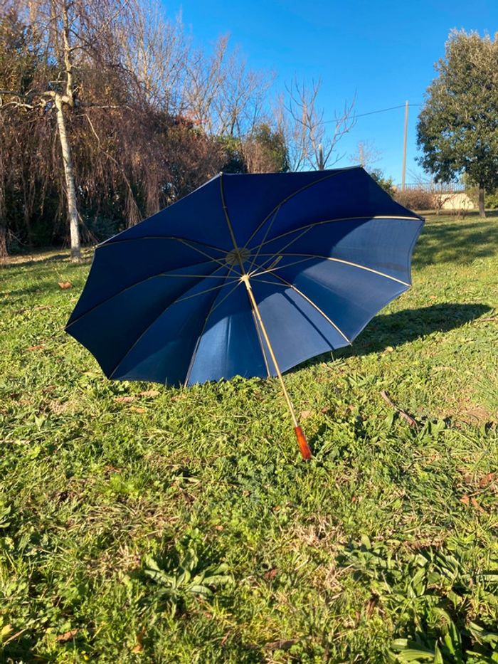 Parapluie bleu - photo numéro 9