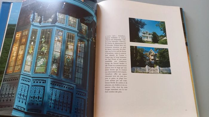 Fou de Bassin d'Arcachon - photo numéro 6