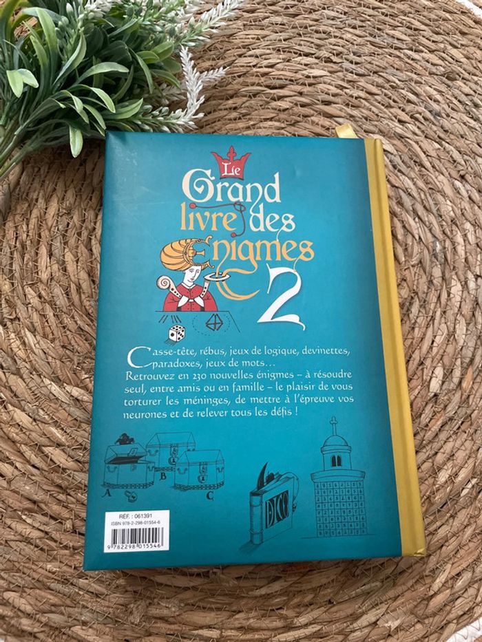 Le Grand Livre des Énigmes 2 - photo numéro 2