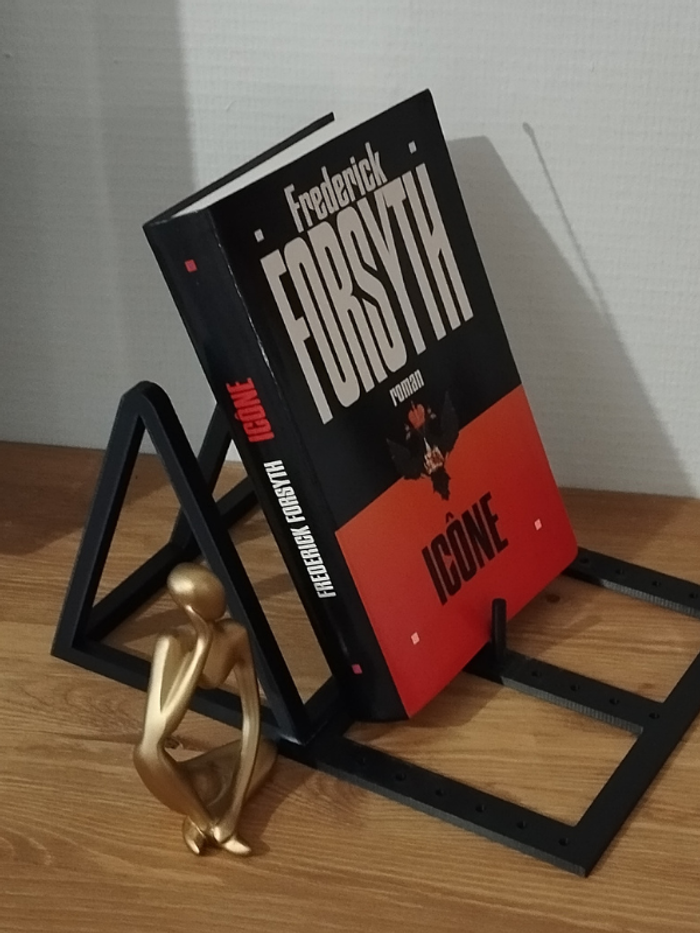 Roman thriller Icône de Frederick Forsyth - photo numéro 2