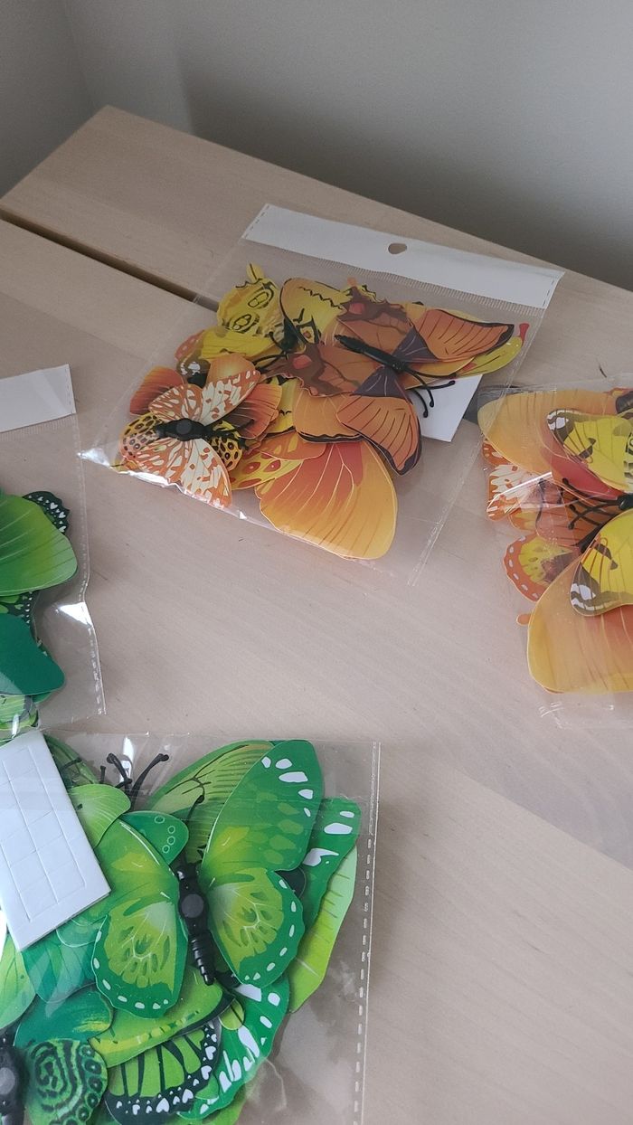 Activités - photo numéro 7