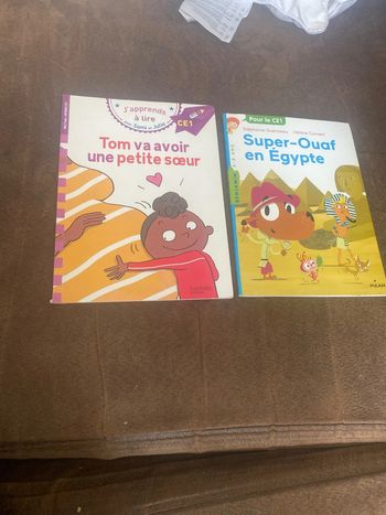 Livre CE1