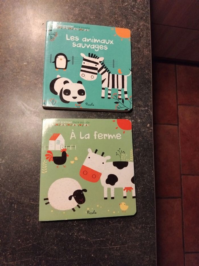 Lot de 2 livres