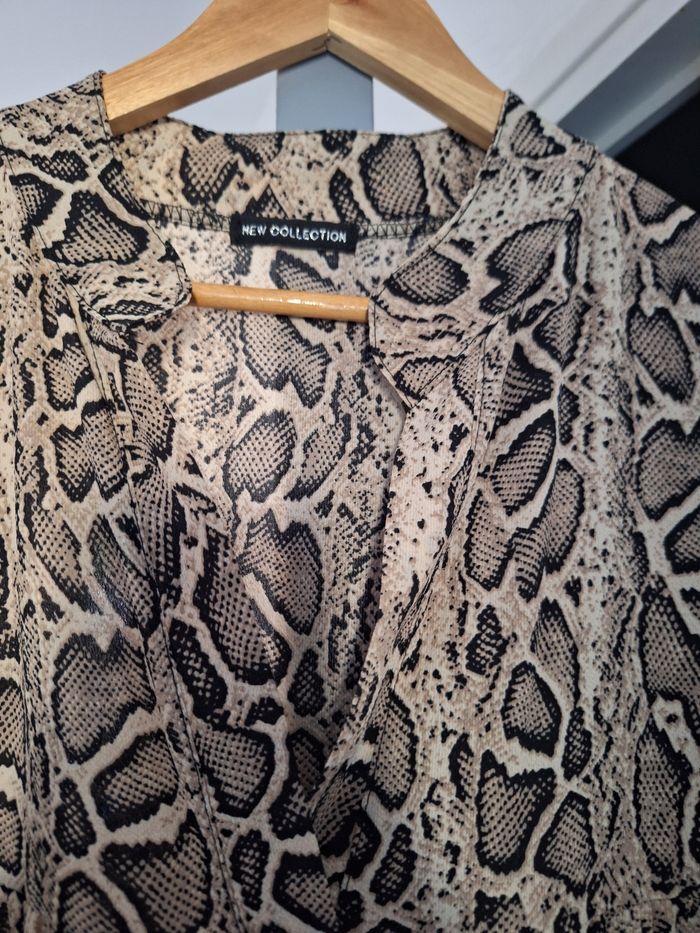 Robe serpent - photo numéro 4