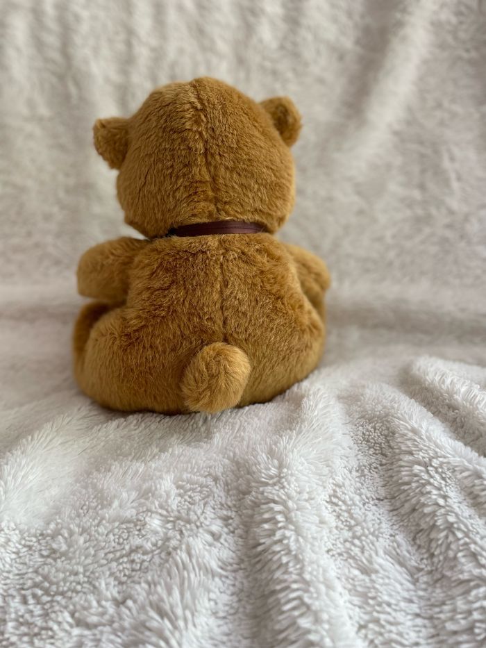 Ourson - photo numéro 4
