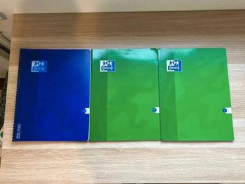 Lot  de  3  cahiers