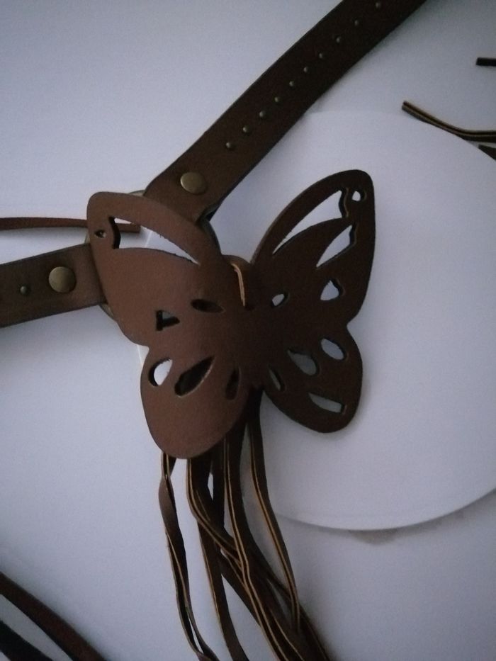 Papillon marron - photo numéro 3