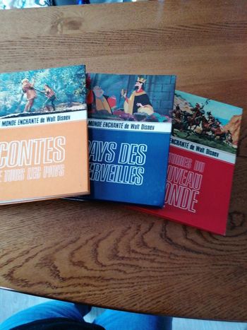Lot de 3 livres le monde enchanté de walt disney