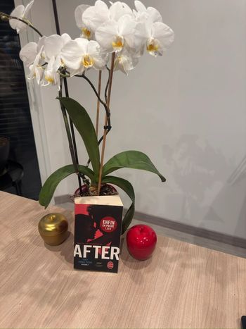 After tome 1 - Anna Todd