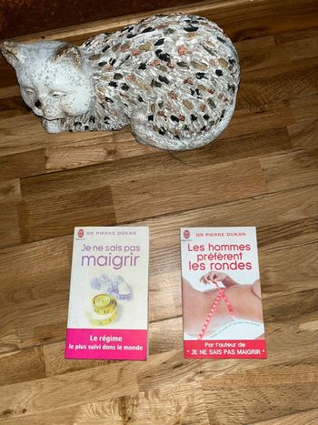 Livre lot de 2 DR Dukan je ne sais pas maigrir très bon état