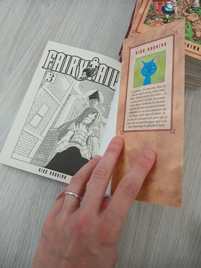 Fairy tail 3 - photo numéro 4
