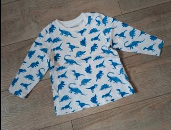 Tee-shirt dinosaures