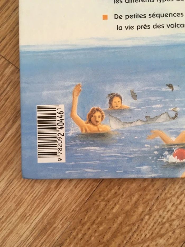 Les Volcans - photo numéro 6